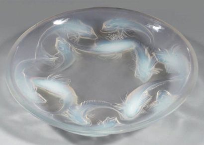 René LALIQUE (1860-1947)
Coupe modèle «Martigues»...