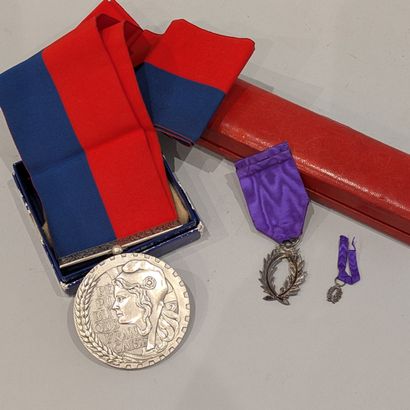 Insigne de chevalier des Palmes académiques...