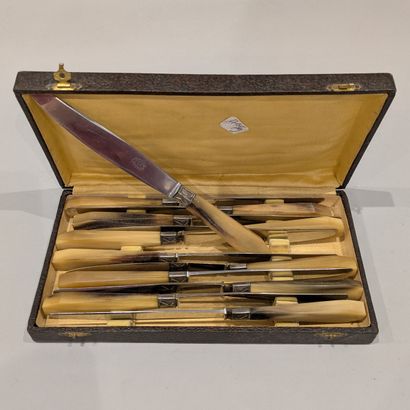 Suite of twelve large knives with horn handles....