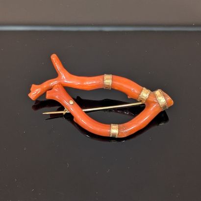 Branche de corail rouge, montée en broche....
