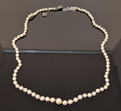 Collier de perles de culture en chute, le...