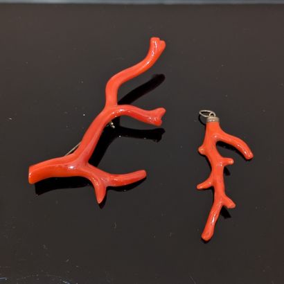 Deux branches de corail rouge, l'une montée...