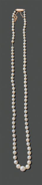 Collier de perles en chute, le fermoir bâtonnet...