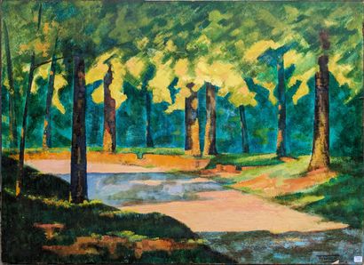 THIBEAUX (XXe siècle) : ETANGS ENTOURES D'ARBRES....