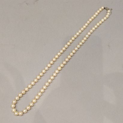 *Collier de perles de culture chocker, le...