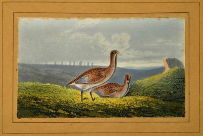 Album de voyage contenant quarante-deux dessins...