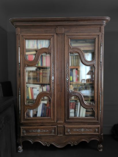 Rustic armoire converted into a bookcase...