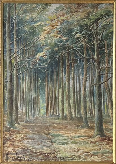 Maurice LIGUE (19th-20th century) : UNDERWOOD....