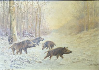 Th. SCHAEFFER***: EXODUS (HARDE DE SANGLIERS...