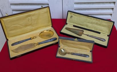 Set in silver (925): ice service, handles...