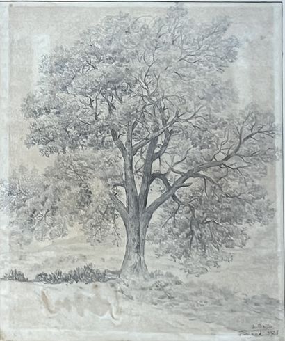 Albert BEALU (1849-?) : TREE IN A LANDSCAPE....