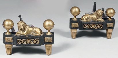 Paire de chenets à ressaut central en bronze...