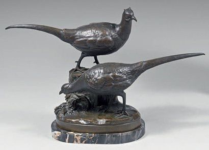 Ignacio GALLO
COUPLE DE FAISANS. Bronze à...