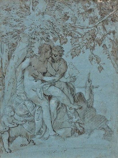 ECOLE DE VÉRONE DU XVIÈME SIÈCLE
Venus. Plume...