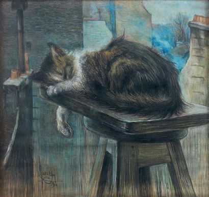Ecole FRANÇAISE vers 1900:
CHAT DORMANT SUR...