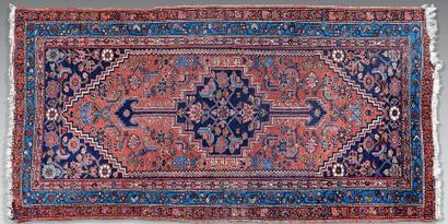 Tapis Bidjar (chaîne et trame en coton, velours...