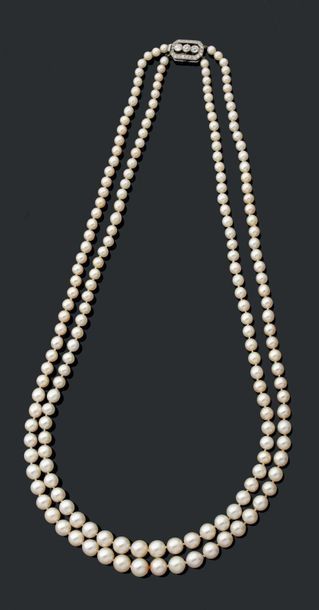 Collier deux rangs de 184 perles fines en...