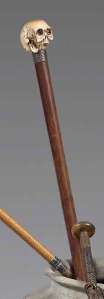 Canne en bois d'amourette. Le pommeau en...