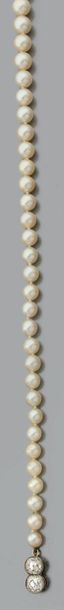 Collier de perles de culture en légère chute,...