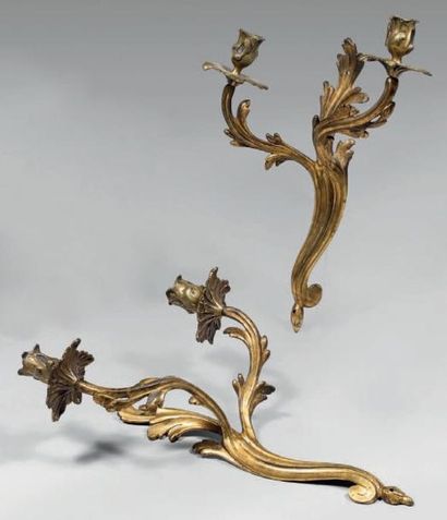 Paire d'appliques rocaille en bronze doré...