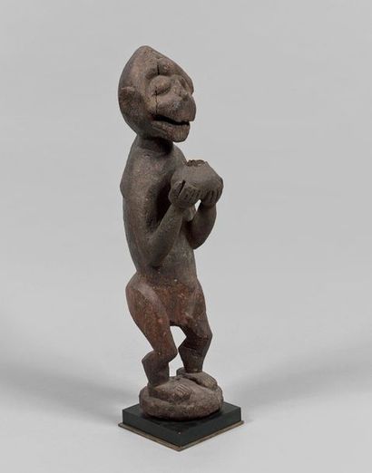 SINGE BEKRE debout sur un tertre, les mains...