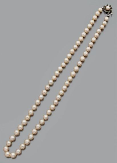 Collier choker de perles de culture, le fermoir...