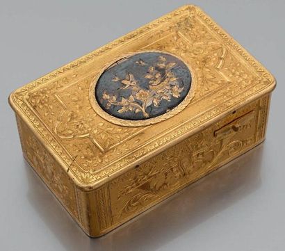 Boîte à oiseau chanteur en laiton doré guilloché...