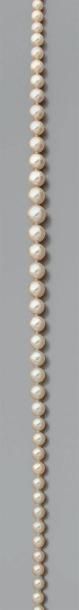 Collier de perles de culture en chute, le...