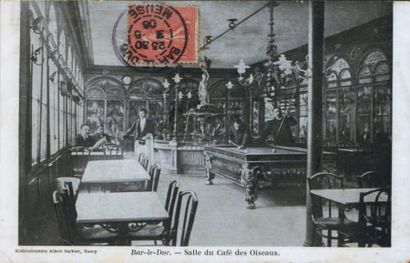 Corne de Rhinocerotidae. Courbure extérieure:...