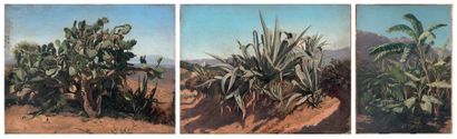 Alexandre Antoine GIRARDOT (1815 - Alger...