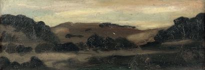 André DERAIN (1880-1954)
PAYSAGE. Huile sur...