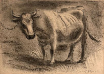Amédée de LA PATELLIERE (1890-1932)
VACHE,...