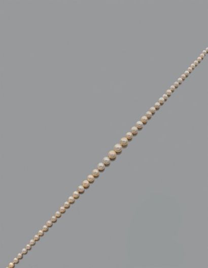 Collier de quatre-vingt-cinq perles fines...