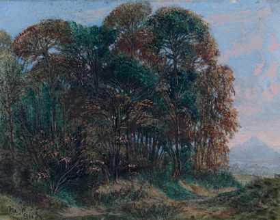 Maurice SAND (1823-1889)
PAYSAGE BOISÉ.
Dendrite,...