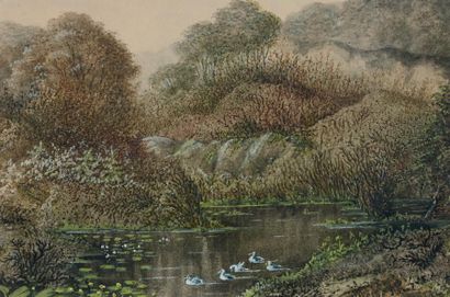 George SAND (1804-1876)
PAYSAGE AVEC CANARDS...