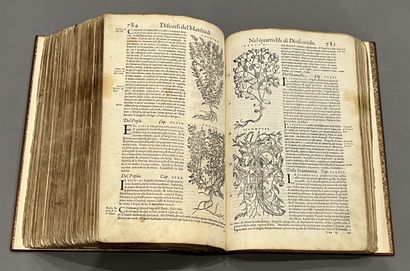 Piero Andrea MATTIOLI (1501-1578) : I discorsi...