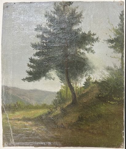 Ecoles FRANCAISES du XIXe siècle : - PORTRAIT...