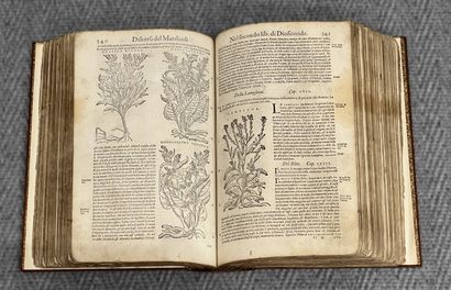 Piero Andrea MATTIOLI (1501-1578) : I discorsi...