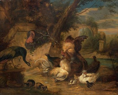 Ecole FLAMANDE du début du XVIIIème siècle

OISEAUX...