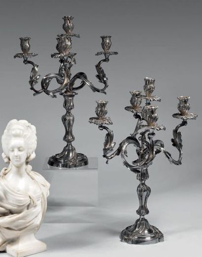 Paire de candélabres en bronze argenté à...