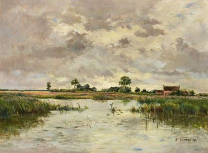 Emmanuel DAMOYE (1847-1916)

UN MARAIS EN...