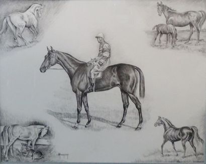 Michel PRAQUIN ( ?-2013):

JOCKEY SUR SA...