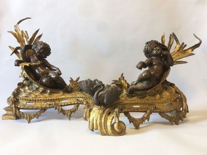 Paire de chenets en bronze patiné et doré...
