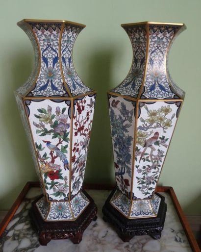 Paire de vases hexagonaux en cloisonné à...
