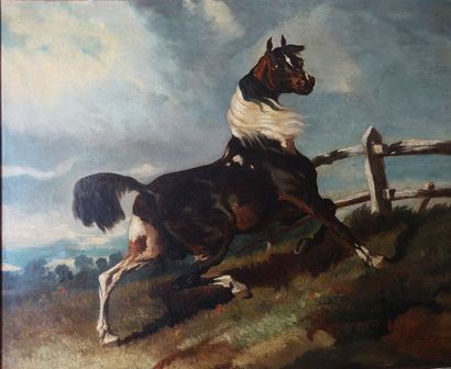 J. HOMBERG, d'après Alfred de DREUX (1810-1860)
ÉTALON...
