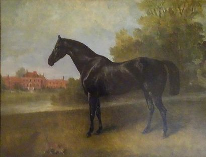 R. BOWIS (?)
ÉTALON DEVANT UNE DEMEURE, 1851.
Huile...