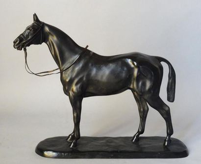 Gaston d'ILLIERS (1876-1932)
ÉTALON À L'ARRÊT.
Épreuve...