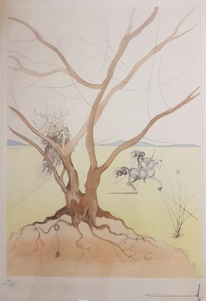 Salvador DALI (1904-1989)
LES DOUZE TRIBUS...