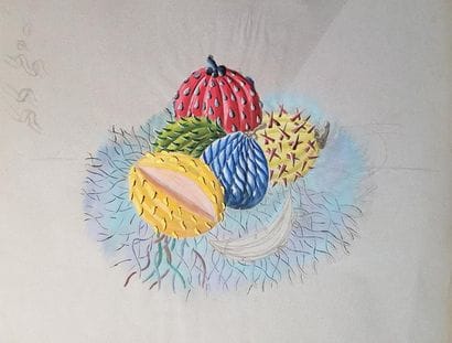 JEAN SCHLUMBERGER
Sept études de fruits exotiques,...