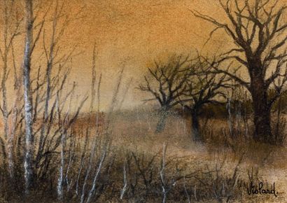 Pierre VIOLARD (XXème siècle)
PAYSAGE AUX...